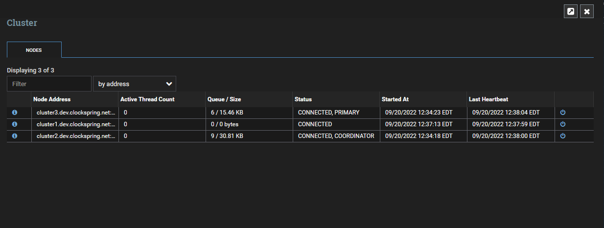 Primary Node in Cluster Management UI