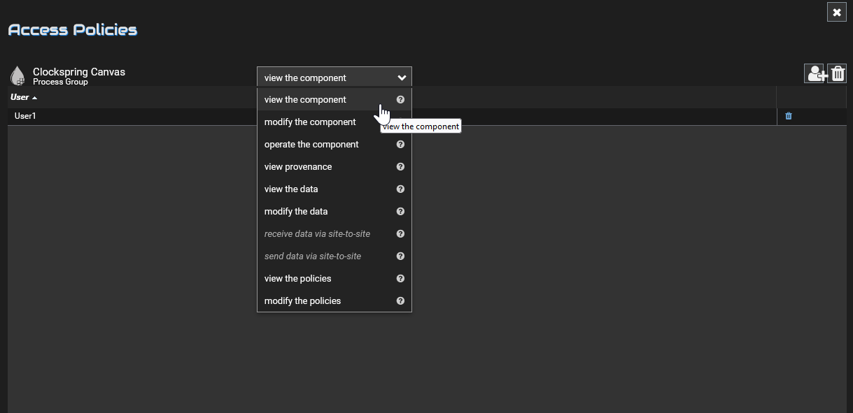 Process Group View Policy