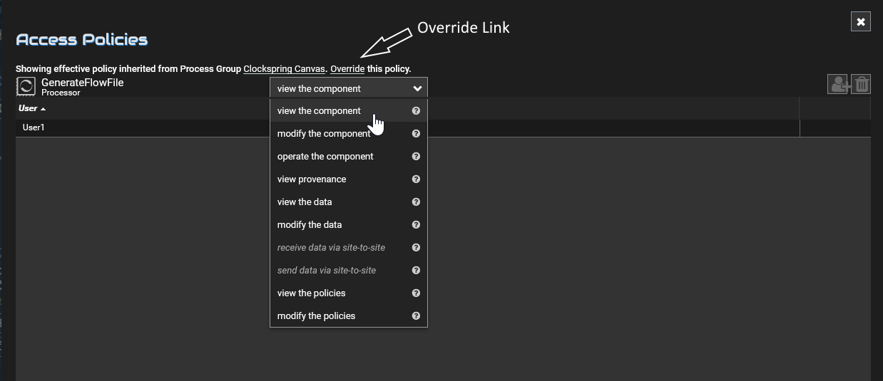 Processor View Policy